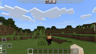 這個小生意肯干，一年收入二三十萬，努力奔小康！